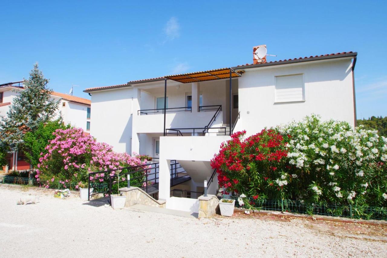 Appartement Diana *
